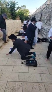 דיווח פלסטיני: מתנחלים קיימו טקסים תלמודיים בהר הבית הבוקר