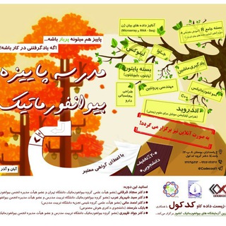 BioinformaticsSchool Telegram Group Link