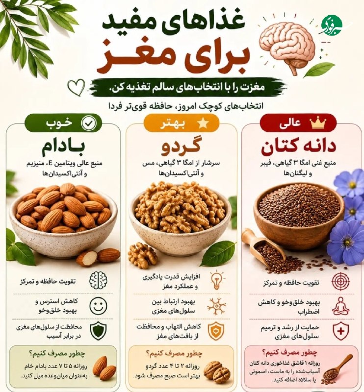 خبرفوری: ♦️غذاهای مفید برای مغز🧠🇮🇷 ✊ @AkhbareFori | Link