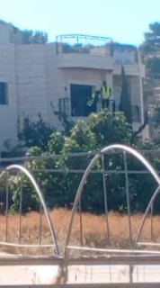 רשת חדשות ירושלים