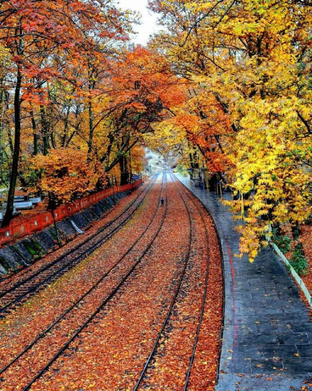 🍃شهرک ولیعصر محله مهربونی🍃: 🌷 اميرالمؤمنين (عليه السلام) فرمودند :🖋 سزاوار نيست كه بنده خدا به دو خصلت اعتماد كند : تندرستي و توانگرى.🖋 زيرا در تندر