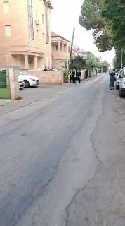 אלי הירשמן