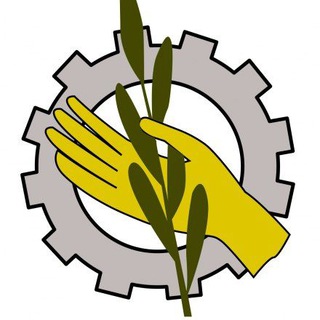 Oposiciones Trabajo Social