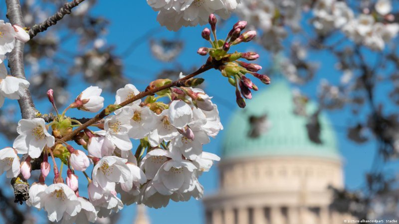 ✨ Получить Schufa станет проще, а банки будут тщательнее проверять транзакции. Что изменится в Германии с 1 марта💰 Бюро кредитных историй Schufa перейдет на более простую и прозрачную систему оценки кредитоспособности. Сертификат Schufa обычно требуют арен