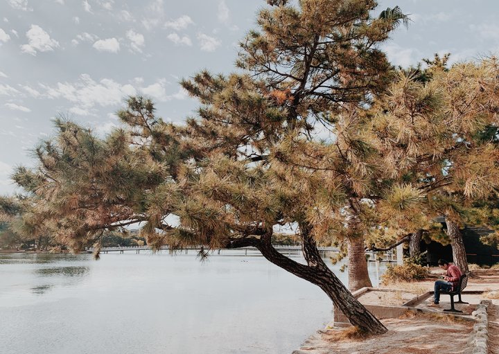 ｜城市漫步・福岡散策 II｜