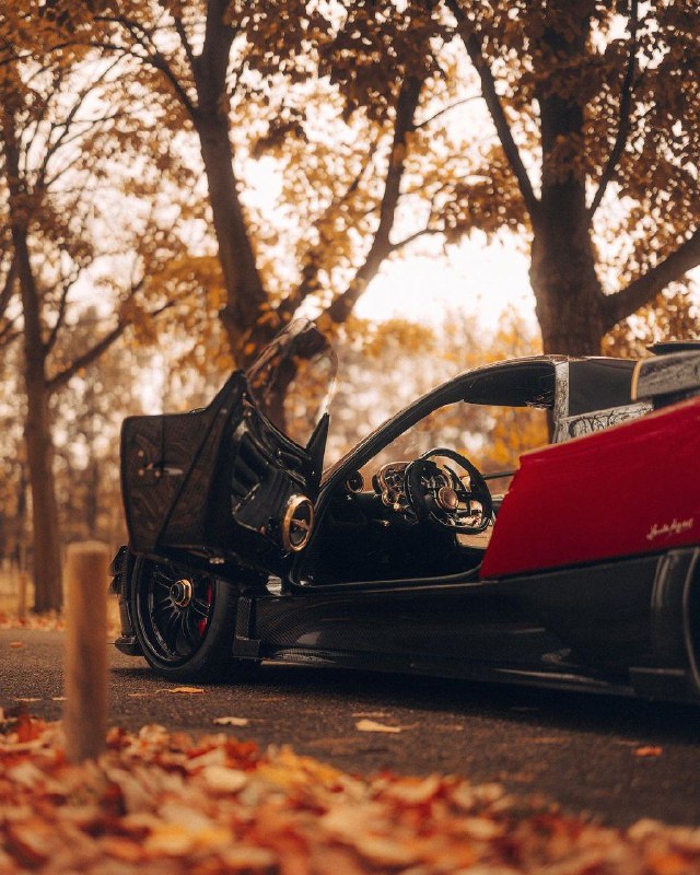 Pagani Zonda MY Roadster 4
