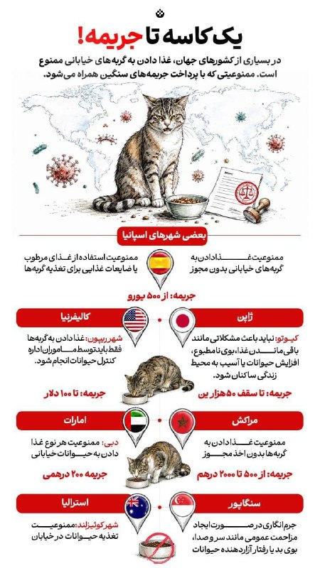 صدای خراسان: 🔸یک کاسه تا جریمه!🔹در بسیاری از کشورهای جهان، غذا دادن به گربههای خیابانی ممنوع است. ممنوعیتی که با پرداخت جریمههای سن