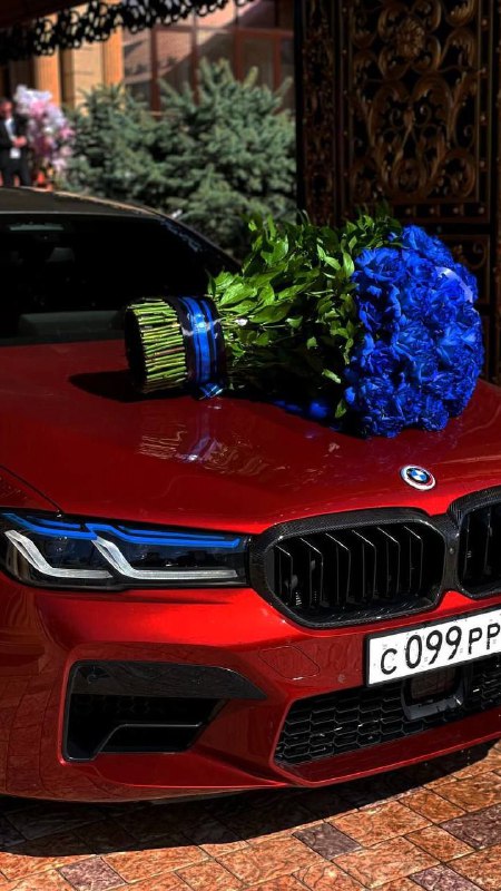 https://t.me/bmw_mpower_club