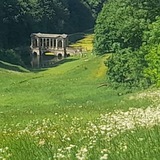 midday meadow