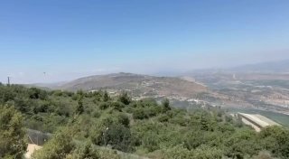 גיא ורון