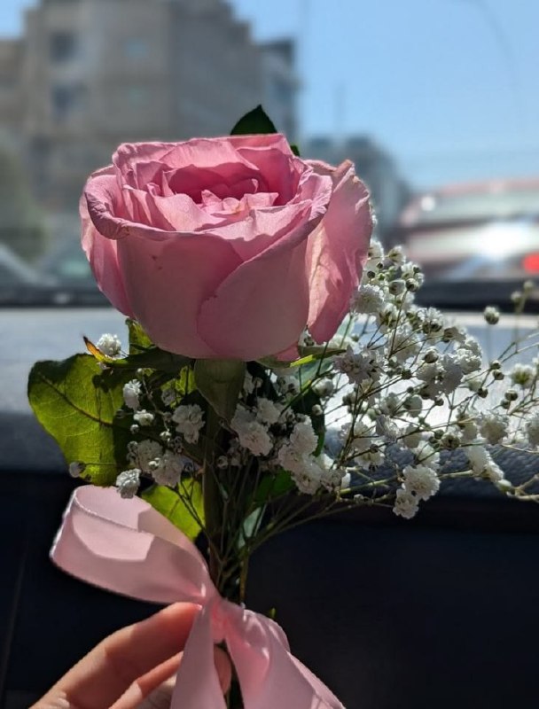 ️گالری عکس و پروفایل: ⭐️@aks_profilestar