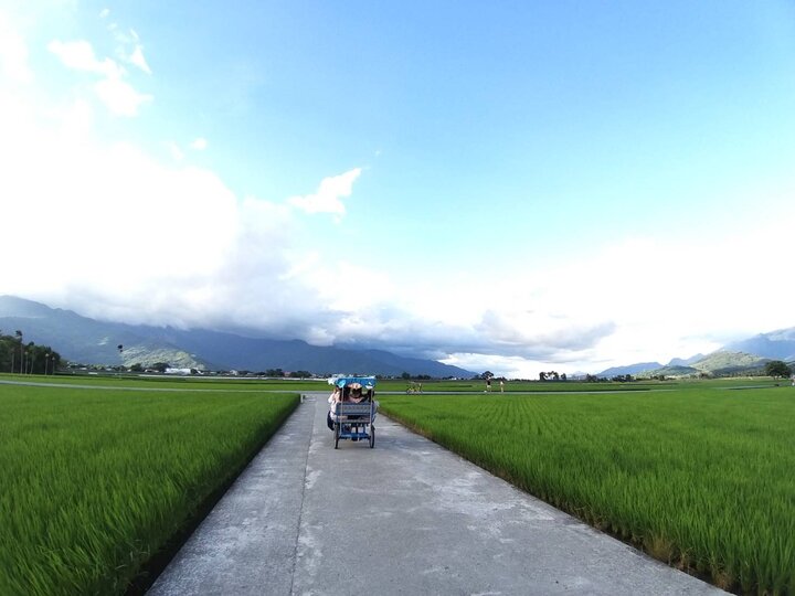 走入稻香【台東池上】~背包輕旅行