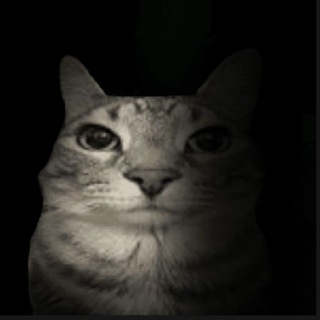 кто сюда мемы постит Telegram channel profile photo