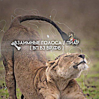 Взаимные голоса / пиар (вп вз вр фб)