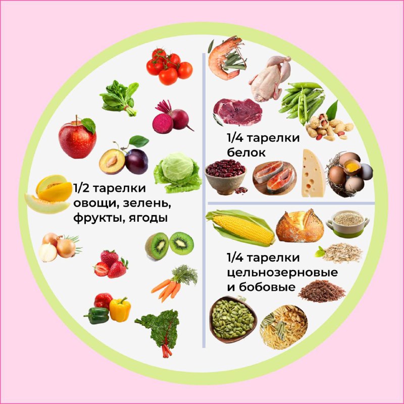 Представьте, что ваша тарелка это карта здорового питания Следуя простым правилам тарелки здоровья , вы легко составите идеальный обед или ужин, по... - изображение 1 - telegram, view, представьте