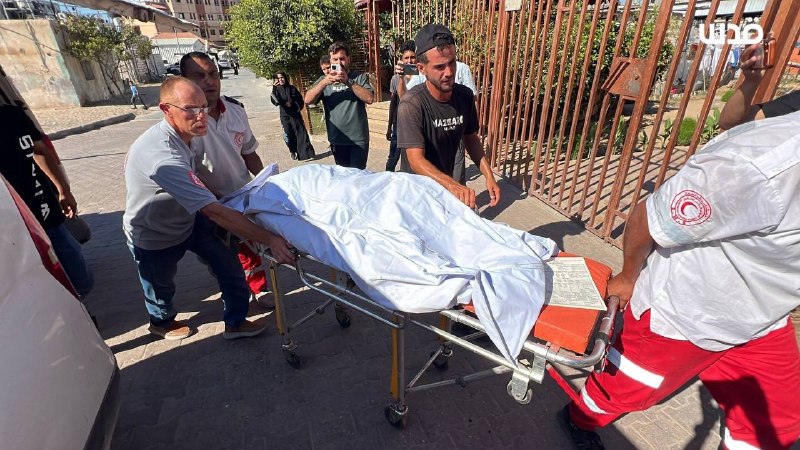 Israeli Strikes Across Gaza Kill 9 Palestinians, Wound Several OthersAt least nine Palestinians were killed and multiple… - news image