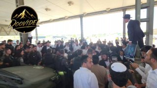 אלי הירשמן