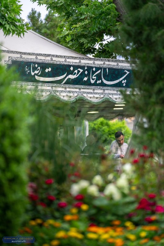 امروله: به وقت سلام▪️ من هستم و کُنج حرم یک استکان چاییلطف تو با من هست، پایان یافت تنهاییأَلسَّلٰامُ عَلَیکَ یٰا عَلی اِبنِ موس