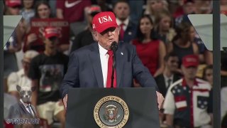 👈 Donald Trump: «If the Democrats take office, this country will enter a very severe economic recession.