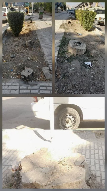 روزنامه باختر📌: 💢 اول برادریت را ثابت کن✍️ افسانه آهنگری♦️چندروز قبل خبری در خبر گزاری هاو مطبوعات محلی از قول یکی از مسئولین منتشر شده 