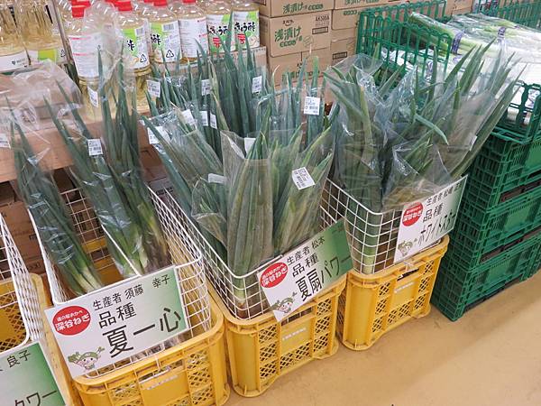 從埼玉買深谷蔥~逛飛騨高山老街~吃買飛騨牛~下呂溫泉～諏訪湖~霧ヶ峰高原3天2夜之露營車小旅行