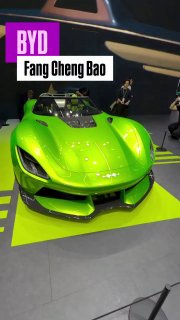 BYD — Fang Cheng Bao (на международном рынке бренд часто называют просто Leopard