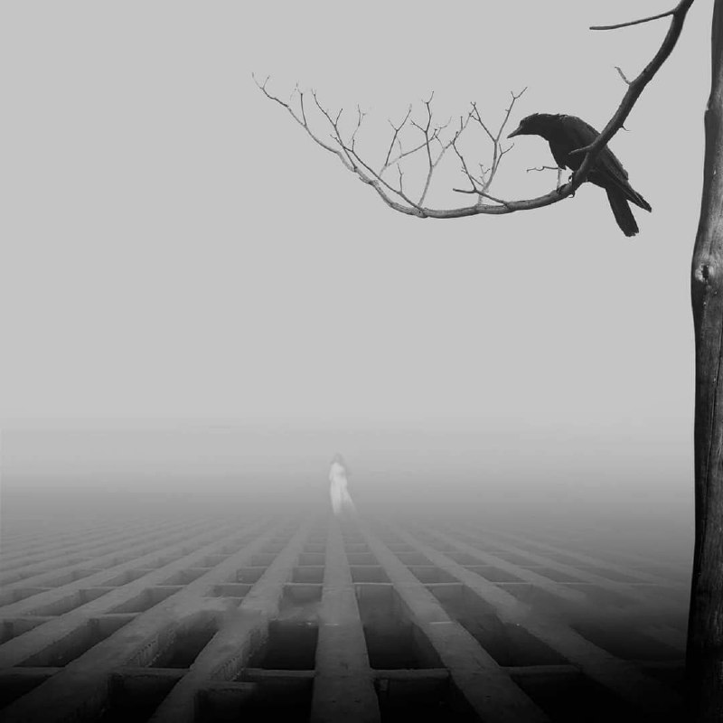🍷میــــڪده عشق: نیستی هم به داد من نرسیدمرگ ، مُرد آن زمان که من زادم~ بیدل دهلوی