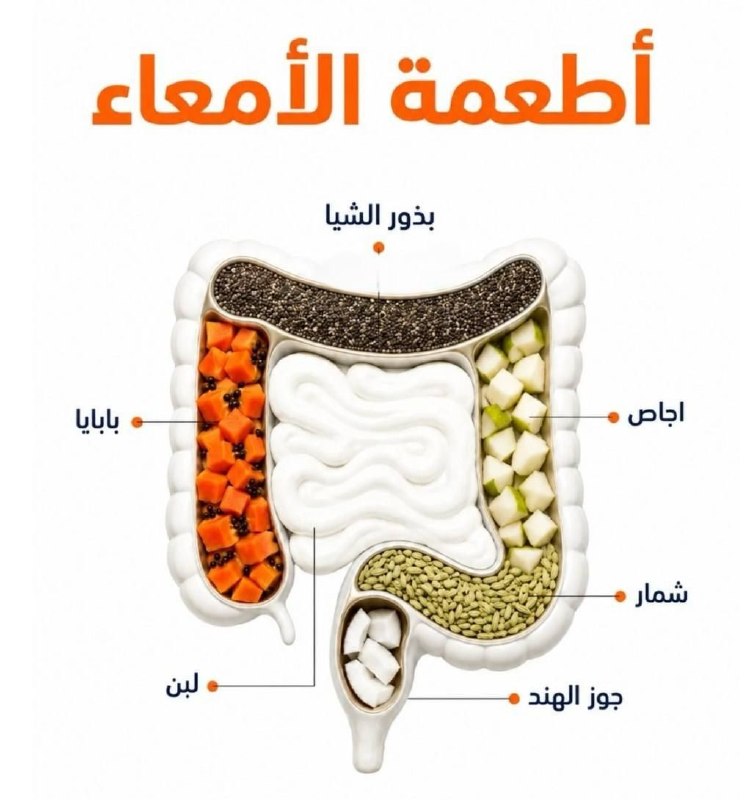 🇮🇶 חדשות אל נחיל 🇮🇶