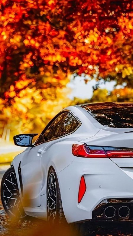 BMW M Powerhttps://t.me/bmw_mpower_club#bmw #mpower #bmwmpower #bmwworld #bmwmpo