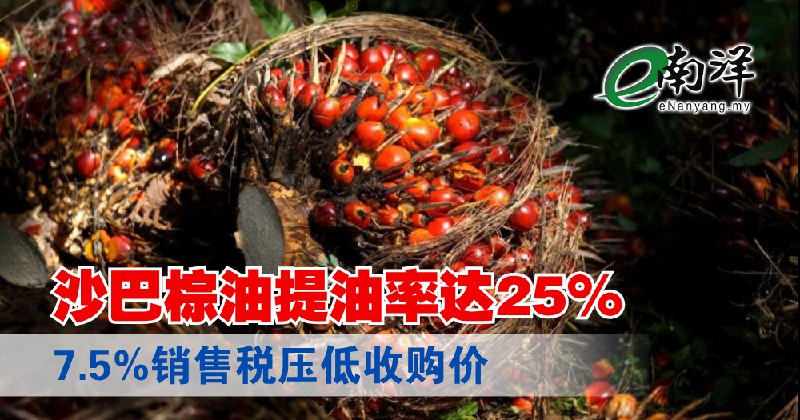 eNanyang.שלי שיעור מיצוי שמן דקלים סבאח מגיע ל-25%, מס מכירה של 7.5% מוריד את מחיר הקנייה