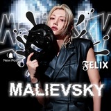 M4L1EVSKYᶦᶰᵗ