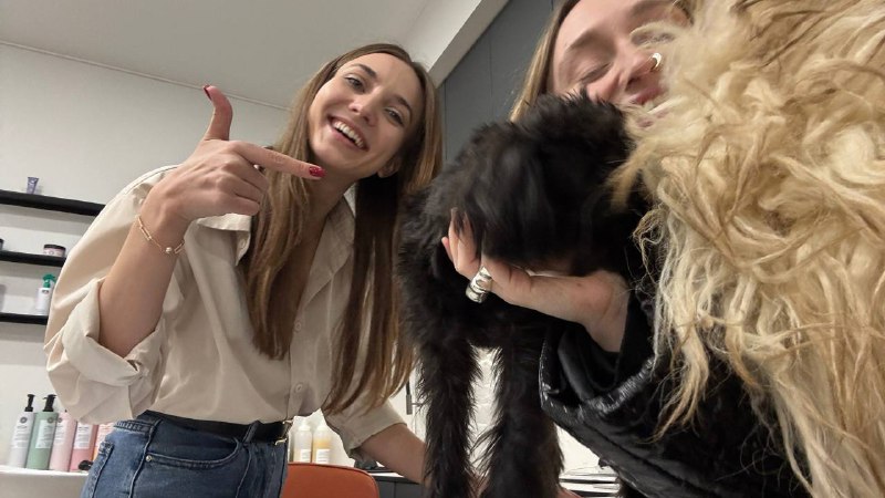 Только сегодня акция:Стрижка с поцелуем в подарок🐕‍🦺💗Только сегодня акция:Стрижка с поцелуем в подарок🐕‍🦺💗