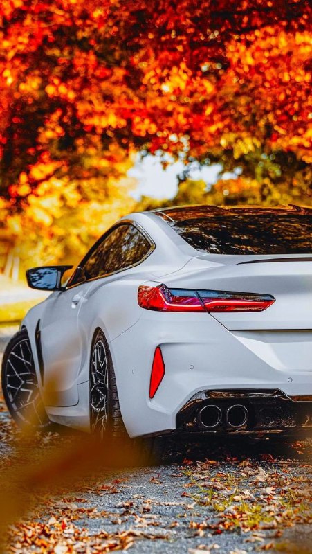 https://t.me/bmw_mpower_club