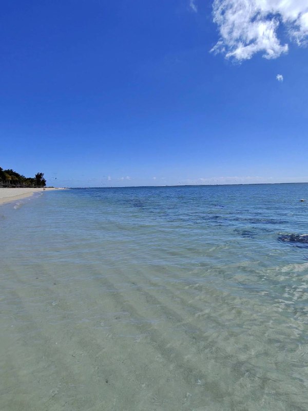 Image from a post by Tonnel Network