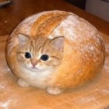 🍞Фил Лофер🍞