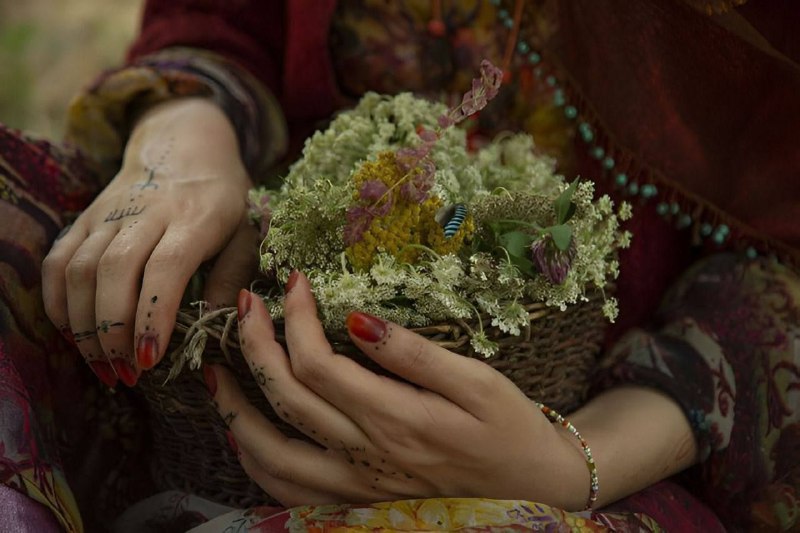 سیروان پرس: لا بدە پەردە، ئەی گوڵی ڕەعنادەرکەوێ با دوو نێرگسی شەهلایا دوو لەعلی عەقیقی بێ هەمتاتا بە جان ئێمە بێینە سەر سەودا"ئامێز"