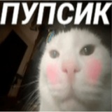 Питомник Выдр🦦