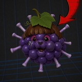 шошоль тгк 🍇