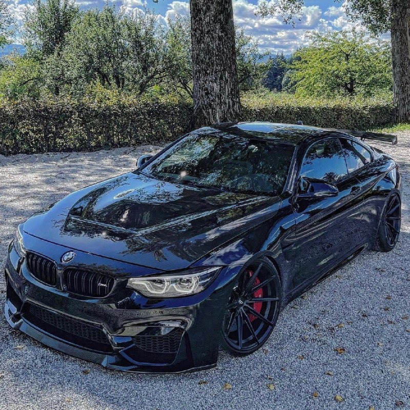 https://t.me/bmw_mpower_club