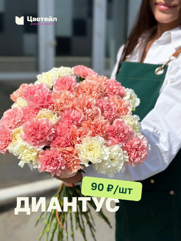 Стойкие диантусы по 90 ₽ за штуку — фото 2