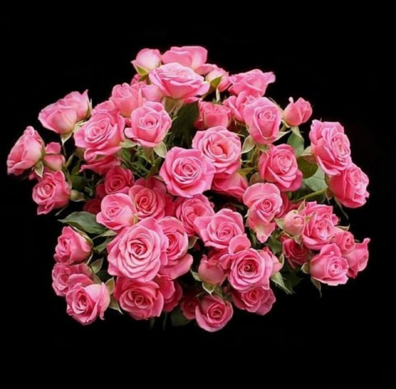 🌼 مهـــ❤️ـــربانی ها 🌼: 🌸ســـــــــلام💖صبح زیبـاتـون بخیر 🌸روزتون ختم به زیباترین خیرها 💖امیدوارم 🌸امروز حاجت دل پاک و مهربانتون💖با زیباترین حکم