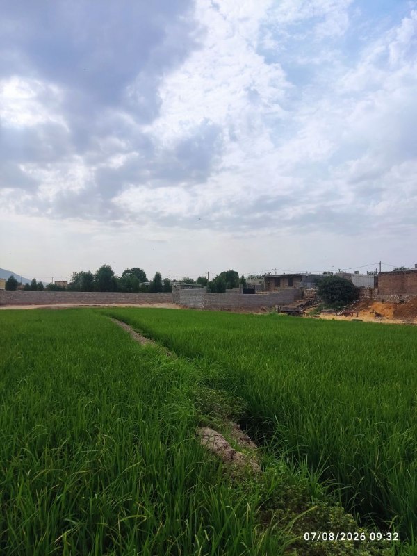 بلوطستان | baloutestan: .#صدای_مردم اهالی روستای دست به زانوی کرگاه خرم آباد همچنان آب آشامیدنی ندارند !صدای ما را به مسئولین آبفا برسانید اهالی