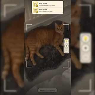 Муся, это ты?На Android вышло приложение CatchCat — как Pokémon Go, но ловить нужно котов. У разных пород разные характеристики, и чем больше кошек в коллекции, тем выше уровень.Приложение бесплатное, а версия для iOS ожидается позднее.rozetked.me/news/467