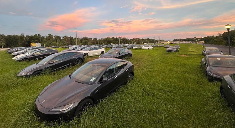 Дилеры Tesla хранят автомобили прямо в поле