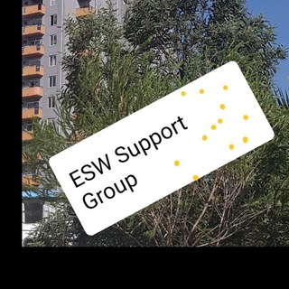 ESW (Ethiopia Electronic Single Window) system support
