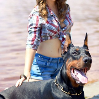 dating video bangalore Telegram Group Link