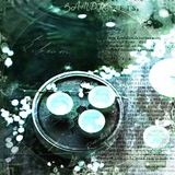 𝒮𝒽𝓊𝓎 𝒫𝓊ℯ𝓇𝓎 ⊹˚