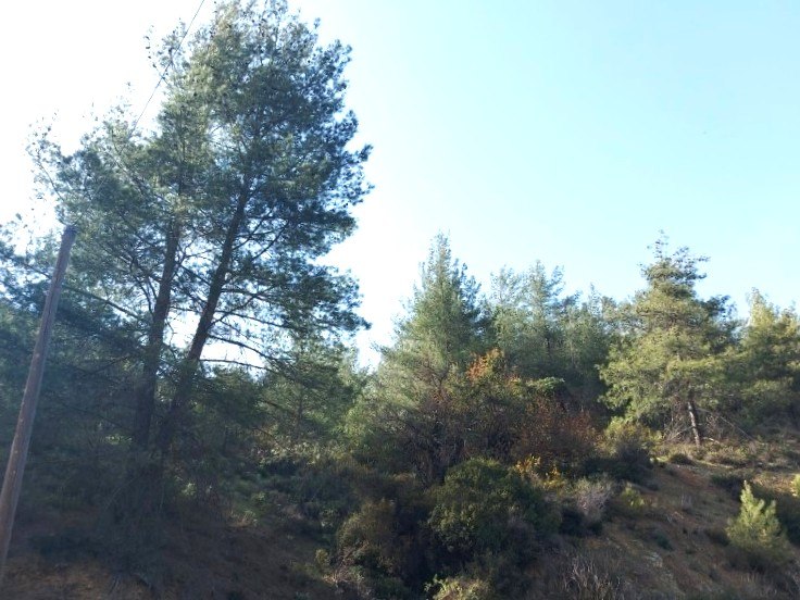 Residential plot with mountain views in Kato Platres photo 1