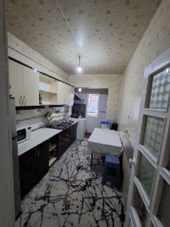 Algaritim zarhali torisi