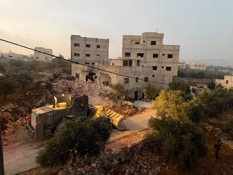 ניצן שפירא